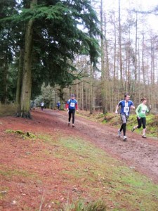 Runners making their way through a forest path